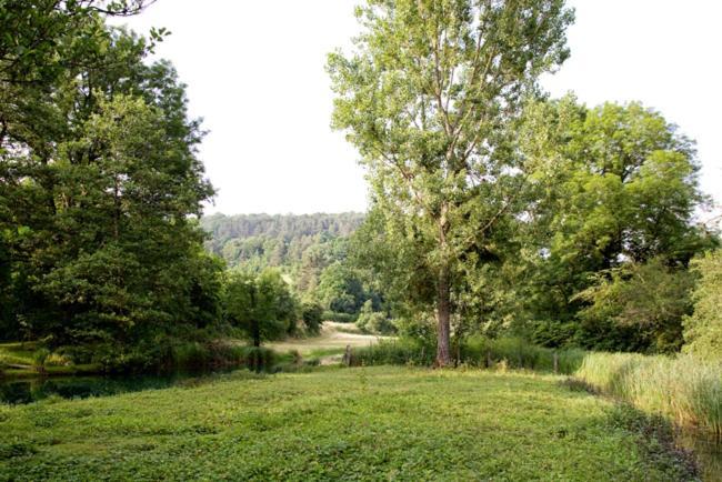 Gites La Forge De Sainte Marie Thonnance-les-Moulins Eksteriør billede